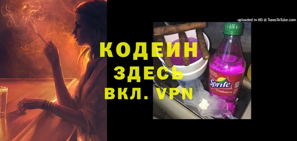 индика Арсеньев