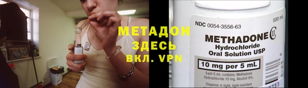 индика Арсеньев