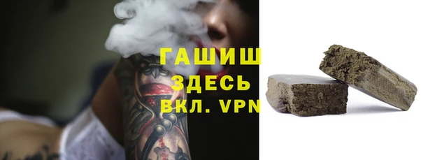 индика Аркадак