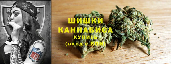 индика Аркадак