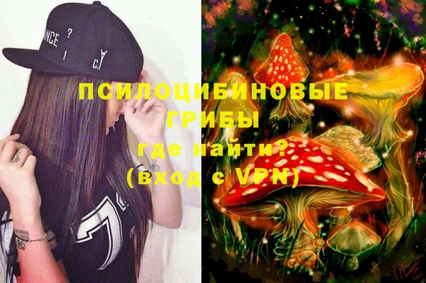 индика Аркадак