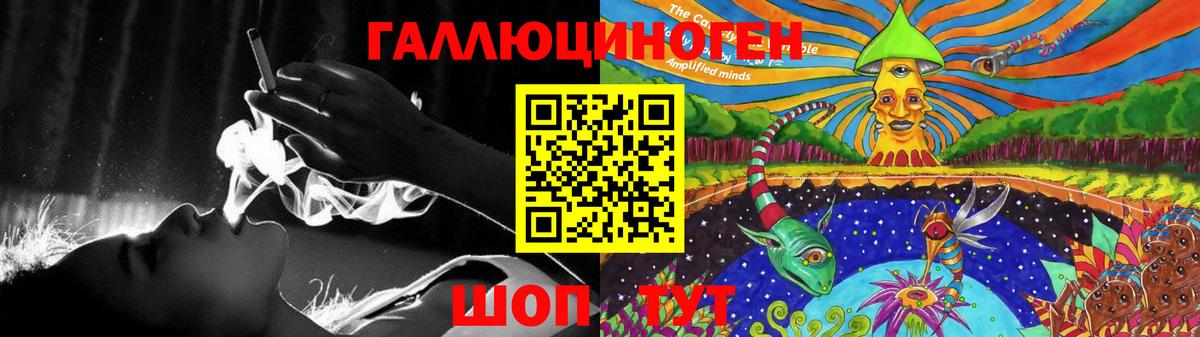 Нурлат  Псилоцибиновые грибы Psilocybe  Вход с VPN 